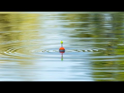 Видео: Судак, пряма трансляція, Fishing live #рибалка