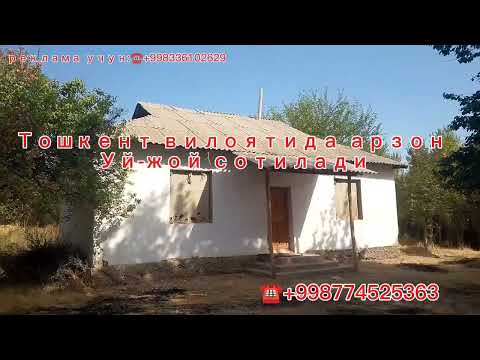 Видео: Тошкент вилоятида Уй сотилади. 💸14000$ ☎️+998774525363