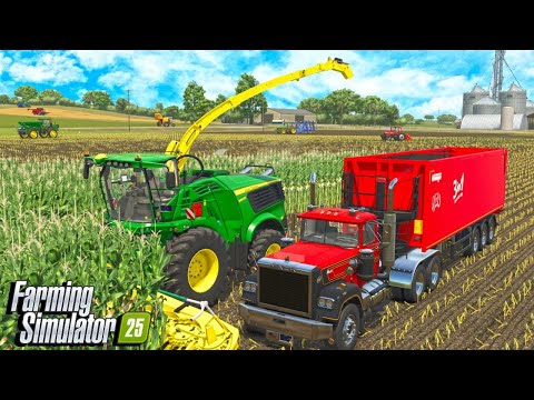 Видео: Измельчаю ли я кукурузу на силос для скота? | Farming Simulator 25