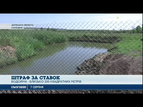 Видео: Пенсіонера з Донеччини оштрафували за ставок на власному городі