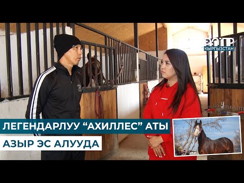 Видео: АТ ӨЛҮП КАЛСА 3 КҮНДӨП УКТАБАЙ КАЛГАН КҮНДӨР БОЛОТ  // ЧАРБАКЕР