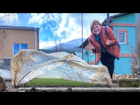 Видео: Полив лука. Ялтинский лук как выращивать. Рассада лука из семян. Парник для лука.