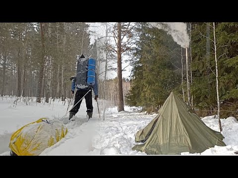 Видео: Живу два дня в зимнем лесу. Встретил лося. Теплая печка. Готовлю вкуснейшую солянку!