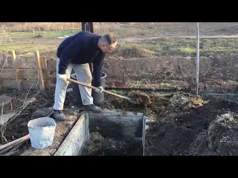 Видео: Траншея для инжира от начала до конца в декабре