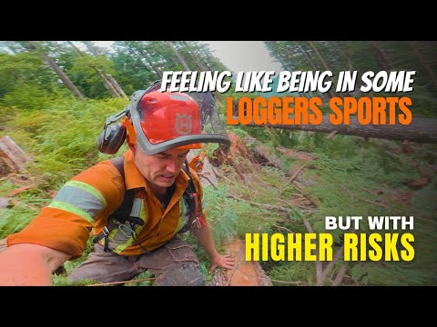 Видео: TimberSports в кустах?