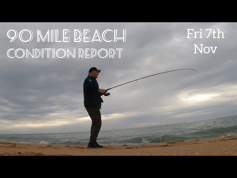 Видео: Отчёт о состоянии пляжа 90 Mile Beach. Пятница, 7 ноября.