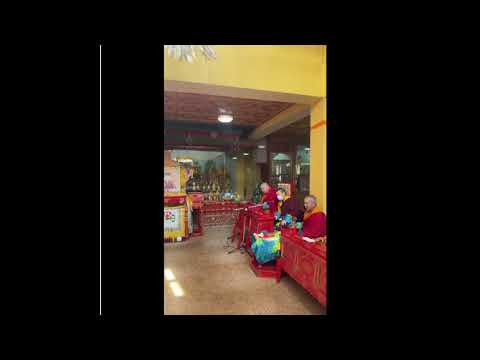 Видео: Говийн Лха" тахилга хурлыг Монгол хэлээр