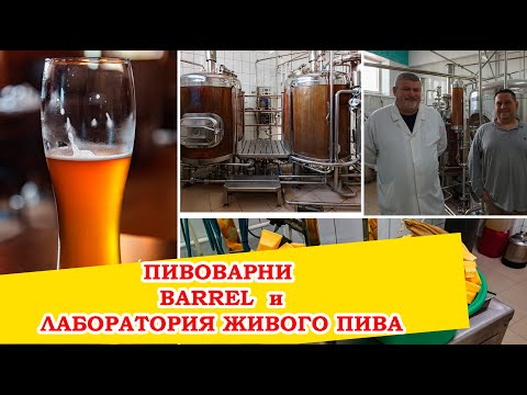 Видео: Пивоварни Barrel и Лаборатория живого пива. Спорим о живом пиве.