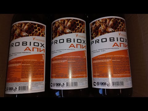 Видео: Пробиотик для наращивания силы пчелосемей