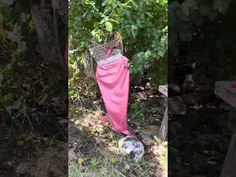 Видео: остров (ко) Лан пляж Тай Яй