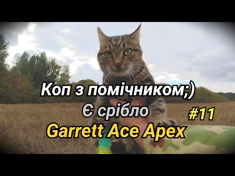 Видео: Скарбопошук.. Вусатий помічник🐱. Без срібла не залишилися 😉 Garrett Ace Apex. Фільм#11