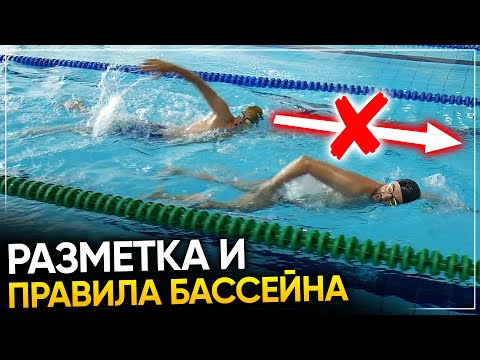 Видео: Разметка и правила бассейна - ВАЖНО ЗНАТЬ ВСЕМ!