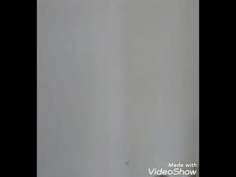 Видео: 13 недель пол ребенка девочка