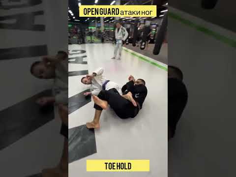 Видео: Техники BJJ с названиями на Синий пояс