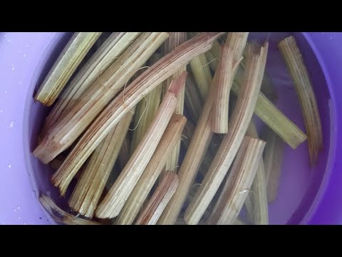 Видео: ЛОПУХ ПО ВОСТОЧНОМУ 👍 А вы пробовали лопух? 😁 Пишите комментарии 🙂