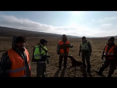 Видео: 29 выход - профилактика в охот угодьях
