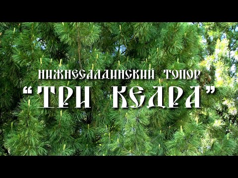 Видео: Нижнесалдинский топор Три кедра