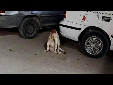 Видео: Сломленная и беспомощная, она тащилась, держась за шею, по улице, не обращая на нее внимания ни один