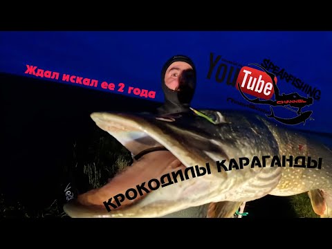 Видео: Кто ищет тот найдет!✓Обновил трофей с 6.8 ка на 8.1кг(Ночная подводная охота Трофейная щука.)