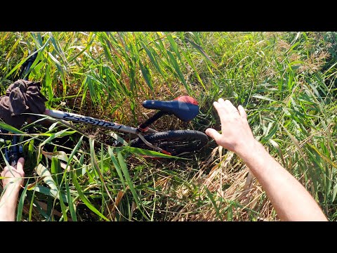 Видео: День 10603. Через хащі в закинуте село 🇺🇦