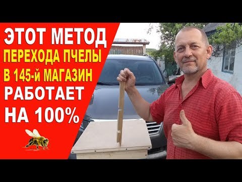 Видео: Этот метод работает на 100% | This method works AT 100%