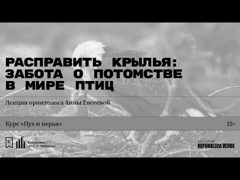 Видео: «Расправить крылья: забота о потомстве в мире птиц». Лекция орнитолога Анны Евсеевой