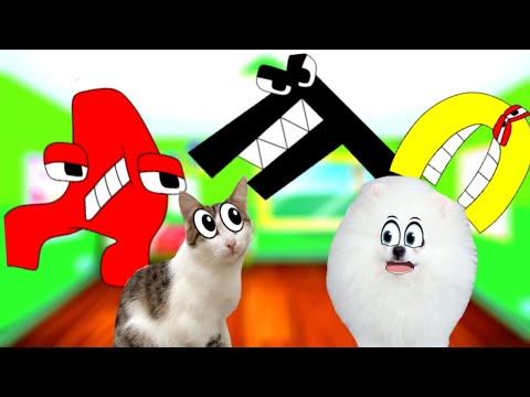 Видео: На нас НАПАЛ АЛФАВИТ ЛОР!!! В РЕАЛЬНОЙ Жизни!!!