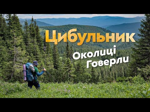 Видео: Цибульник. Околиці Говерли