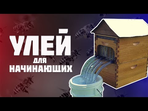 Видео: Улей для начинающего пчеловода. Какой улей выбрать лежак или многокорпусный улей