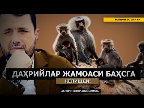 Видео: БАҲС: ДАҲРИЙЛАР ТЎДАЛАШИБ БАҲСГА КЕЛИШДИ! - АБРОР МУХТОР АЛИЙ ДОМЛА