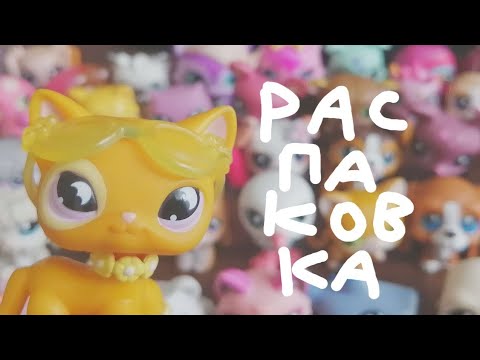Видео: Распаковка лота lps (40+ штук)
