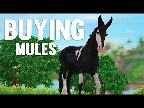 Видео: Покупка новых мулов | Star Stable