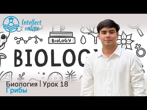 Видео: Биология | Грибы | Урок 18