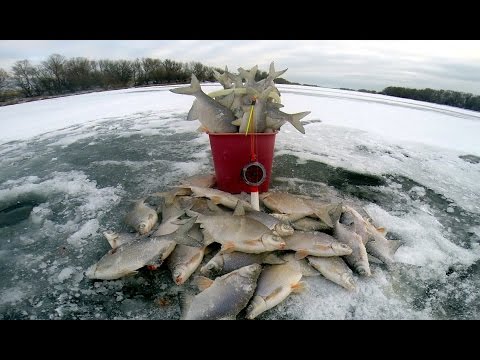 Видео: Зимняя рыбалка. Ловля белой рыбы (густера). Бешеный клёв. Рыбалка на льду.