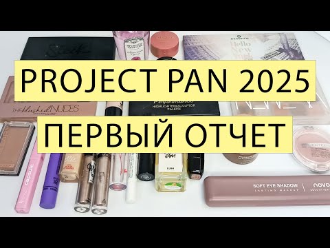 Видео: PROJECT PAN 2025 🍎 ПЕРВЫЙ ОТЧЕТ 🍎