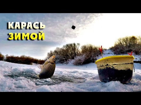 Видео: Уже не первый лёд! Подлёдный фидер против мормышки. Ловля карася зимой. Зимняя рыбалка.