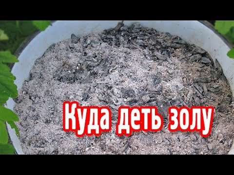 Видео: Куда деть золу