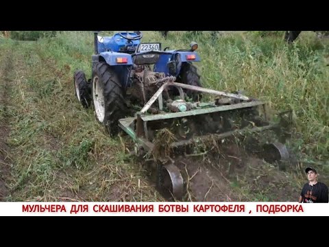 Видео: МУЛЬЧЕРА ДЛЯ СКАШИВАНИЯ БОТВЫ КАРТОФЕЛЯ, ПОДБОРКА ВИДЕО #1  / MULCHER FOR MOWING POTATO LEAVES