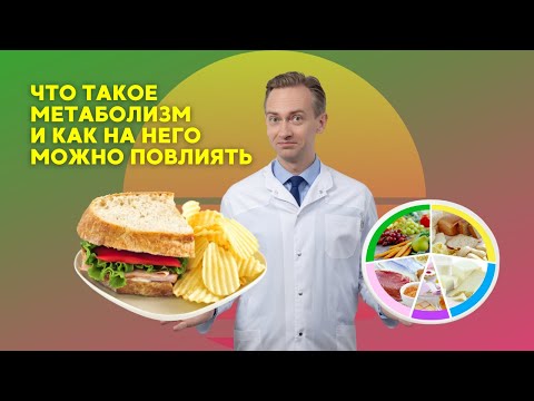 Видео: Что такое метаболизм и как на него можно повлиять