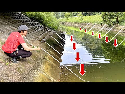 Видео: Я приготовил 30 простых рыболовных ловушек и поймал качественные ингредиенты!