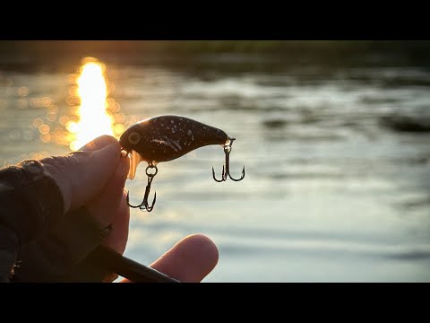 Видео: ЛЕГЕНДАРНАЯ ПРИМАНКА В ДЕЛЕ! Вечерняя рыбалка в июле.