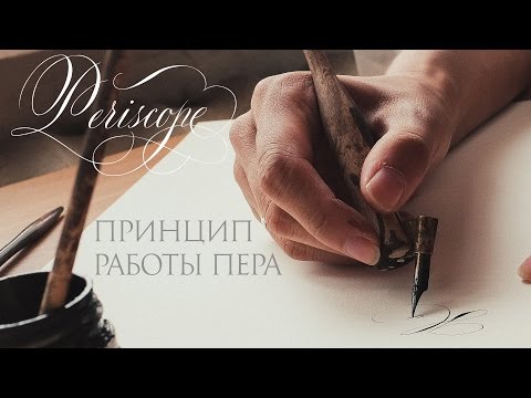 Видео: Уроки каллиграфии. Nikolietta Periscope 1. Принцип работы пера.