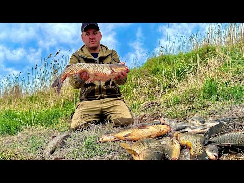 Видео: БЕШЕНЫЙ КЛЕВ САЗАНА! ЖЕСТЬ СКОЛЬКО ЕГО ТУТ!САДКИ ТРЕЩАТ ОТ ТОКОГО УЛОВА