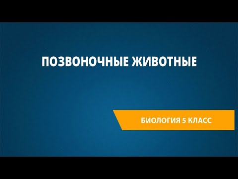Видео: Позвоночные животные
