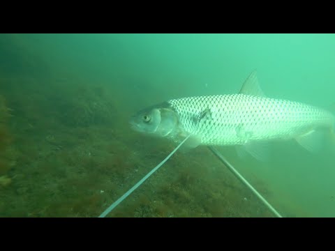 Видео: ПО. КУТУМ . Кто ищет, тот найдёт .