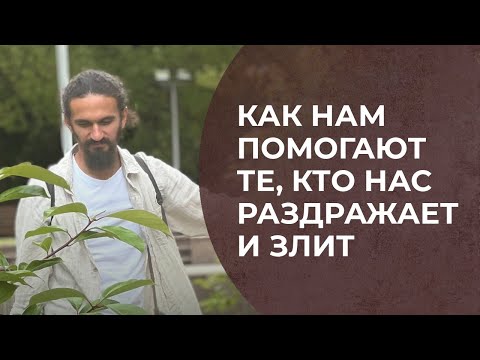 Видео: Как нам помогают те, кто нас триггерит, раздражает и злит