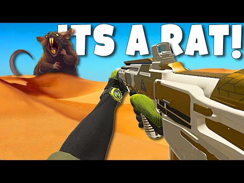 Видео: DMZ для соло — крысиный рай! - Modern Warfare 2