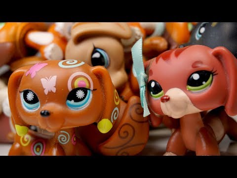 Видео: LPS: МОЯ КОЛЛЕКЦИЯ ТАКС