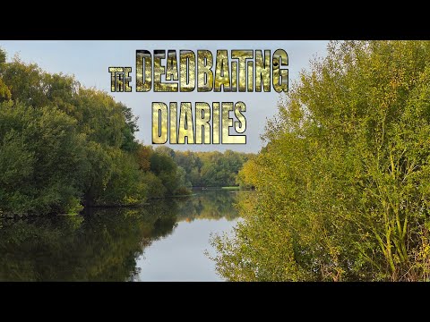 Видео: Дневники травли мертвецов. Часть 4