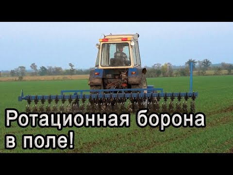 Видео: Эффект от ротационной бороны по всходам озимых!